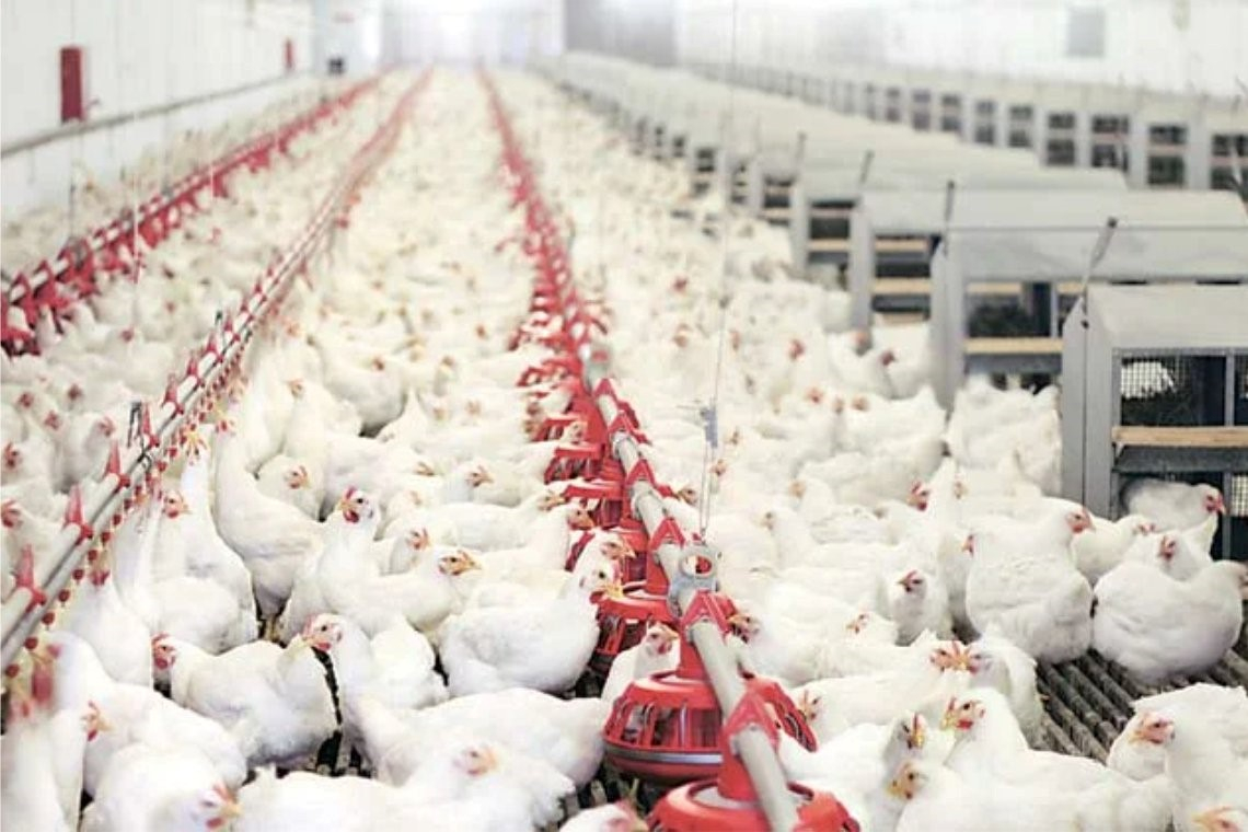 Burford’s Sysco Victory Brings Fresh Warning on Litigation Funding